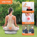 Coccyx Seat Cushion