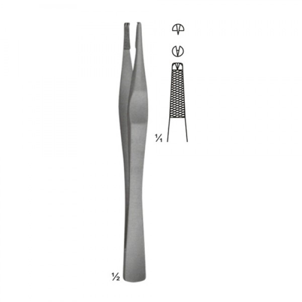 Strassburger Modell Tissue Forceps Serrated With Teeth 15 CM (GN-3764)
