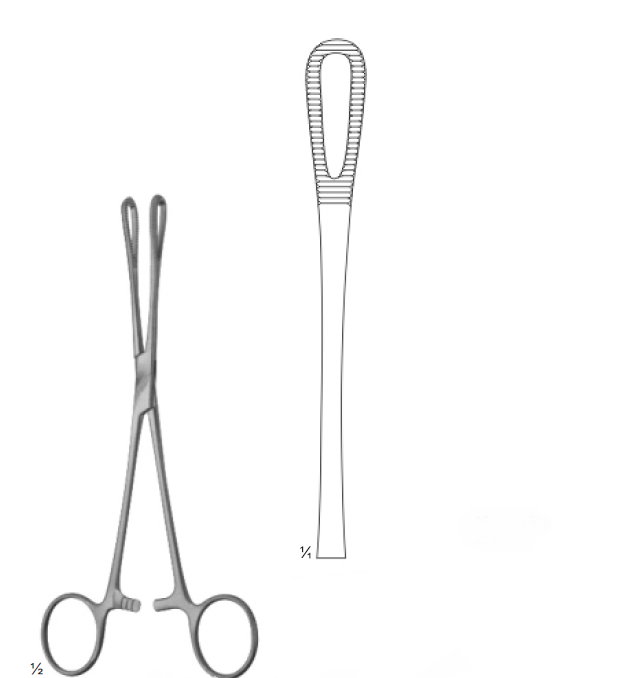 [13191] Rampley Forceps Serrated Straight 20 CM (GN-4165/05-137-20)
