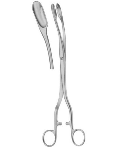 Winter Forceps 29CM J-20-402