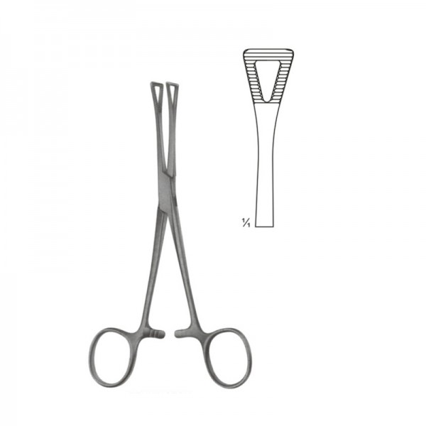 [13543] Pennington Forceps 21 CM 04-173-21