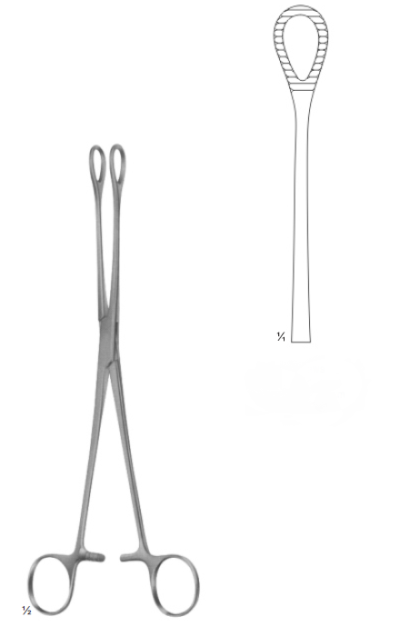 [13798] Foerster-Ballenger Forceps Straight 20.5 CM 05-125-20