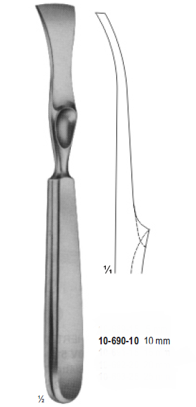 Lambotte Raspatories 10 MM 21.5 CM 10-690-10