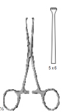 [13549] Allis Tissue Forceps 5x6 Teeth 25.5 CM 14-105-25