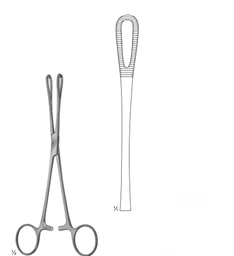 [13191] Rampley Forceps Serrated Straight 20 CM (GN-4165/05-137-20)